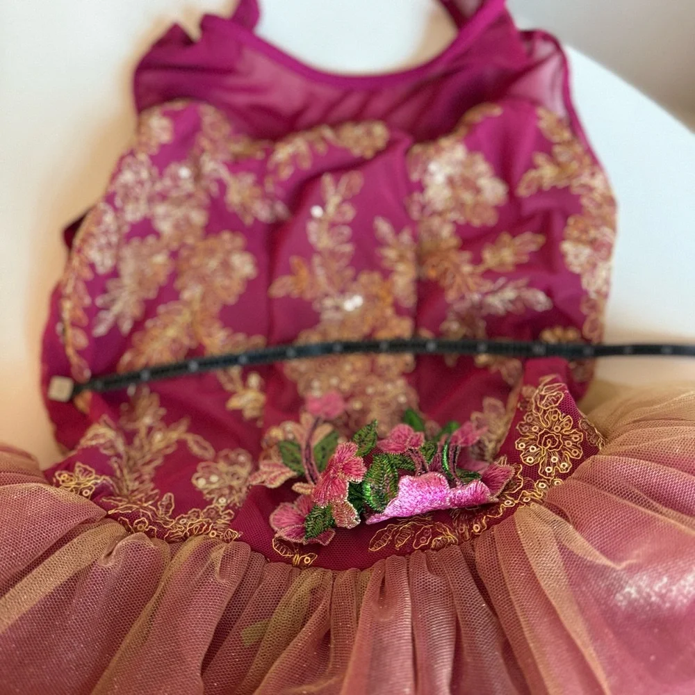 Revolution Dress Dancewear Girls Wine Gold Dance Costume Tulle Child Large LC